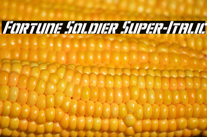 Fortune Soldier Super-Italic Example 1