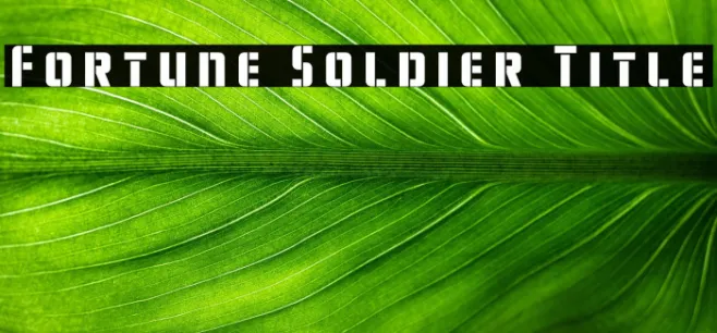 Fortune Soldier Title Example 1