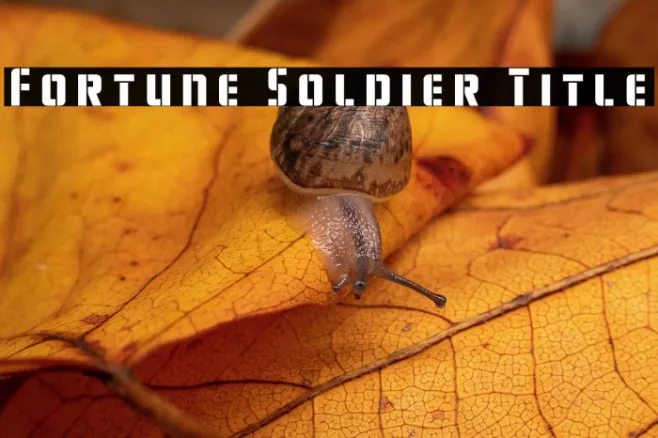 Fortune Soldier Title Example 2