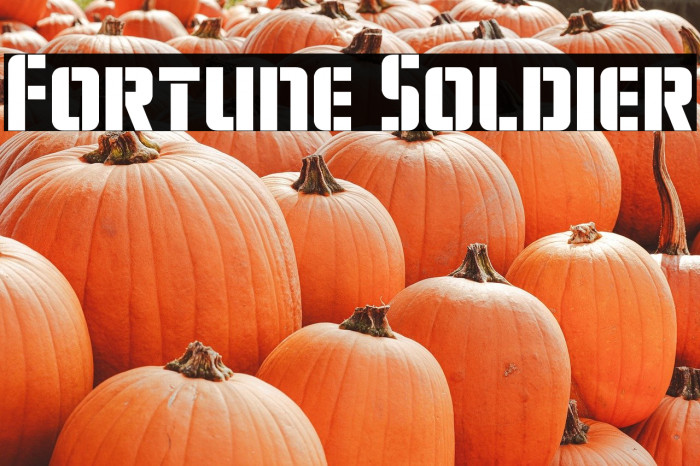 Fortune Soldier Example 1