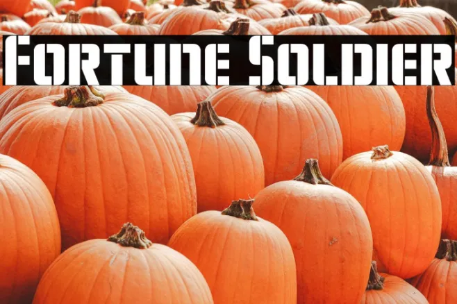 Fortune Soldier Example 1