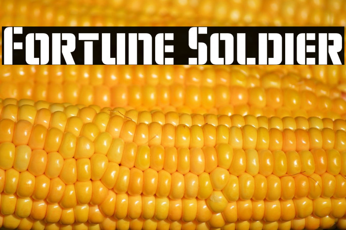 Fortune Soldier Example 2