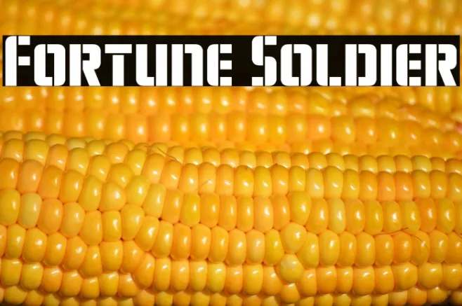 Fortune Soldier Example 2