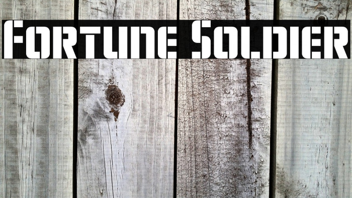 Fortune Soldier Example 3