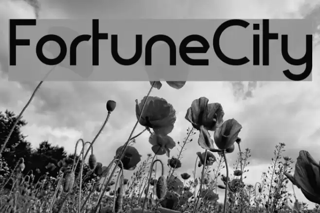FortuneCity Font examples