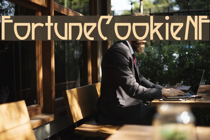 FortuneCookieNF Font examples