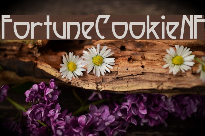 FortuneCookieNF Font examples