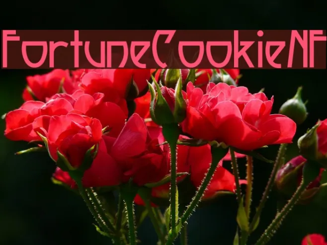 FortuneCookieNF Example 3
