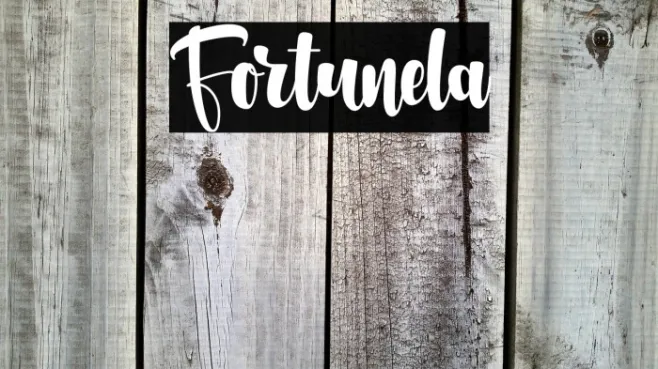 Fortunela Example 3