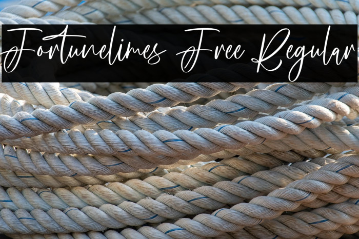 Fortunelimes Free Regular Example 1