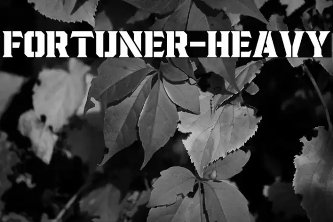 Fortuner-Heavy Font examples