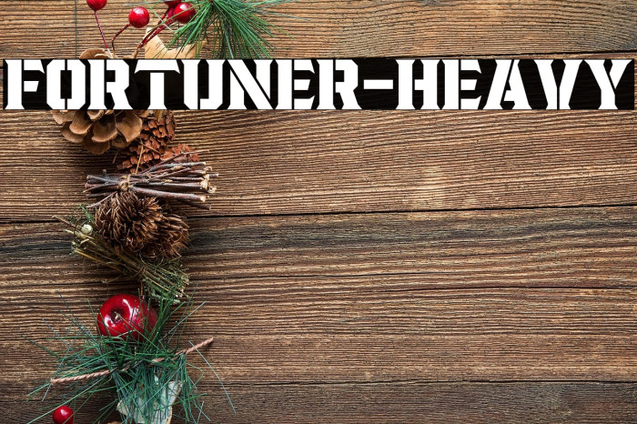 Fortuner-Heavy Example 2