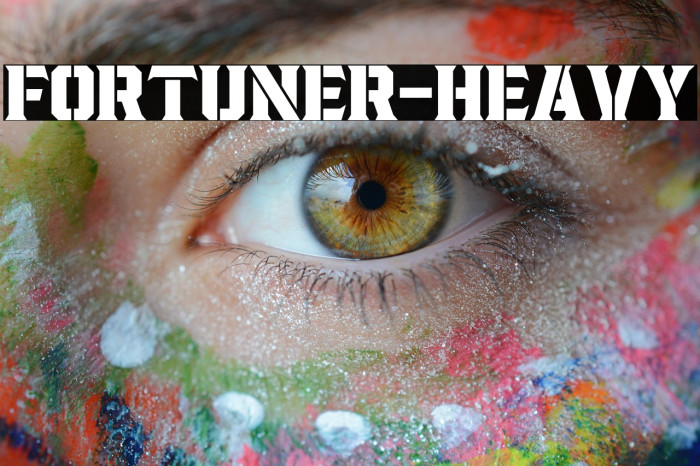 Fortuner-Heavy Example 3