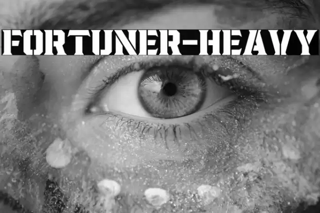 Fortuner-Heavy Font examples