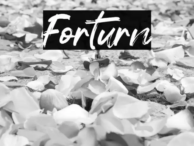 Forturn Font examples