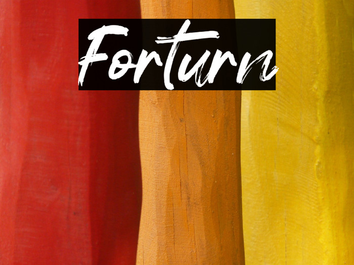 Forturn Example 2
