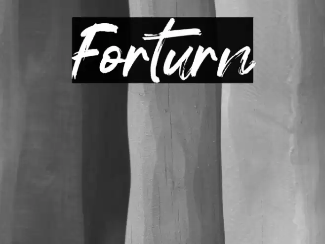 Forturn Font examples