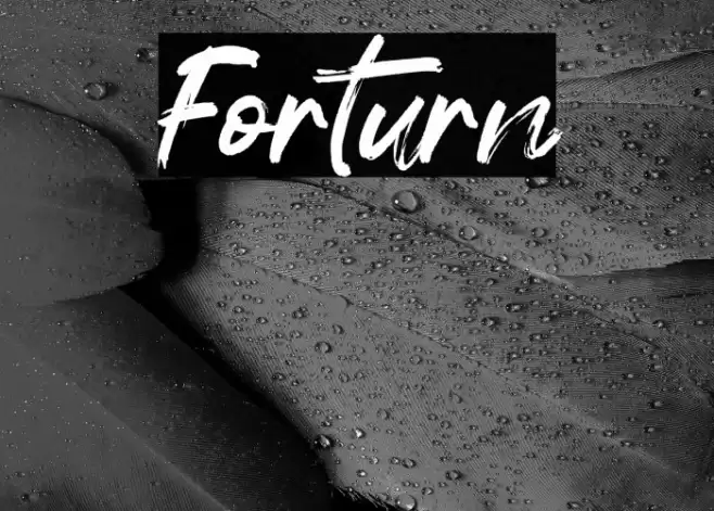 Forturn Font examples