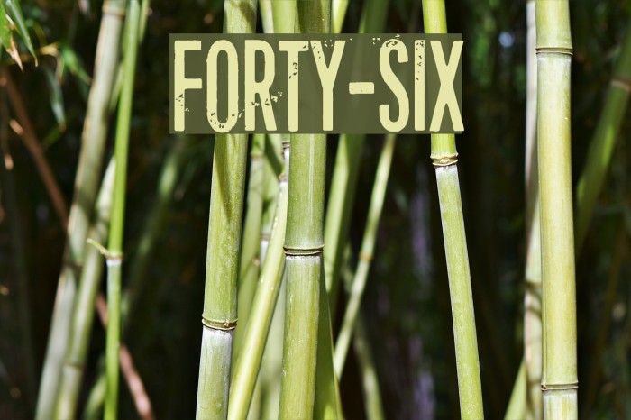 Forty-six Font examples