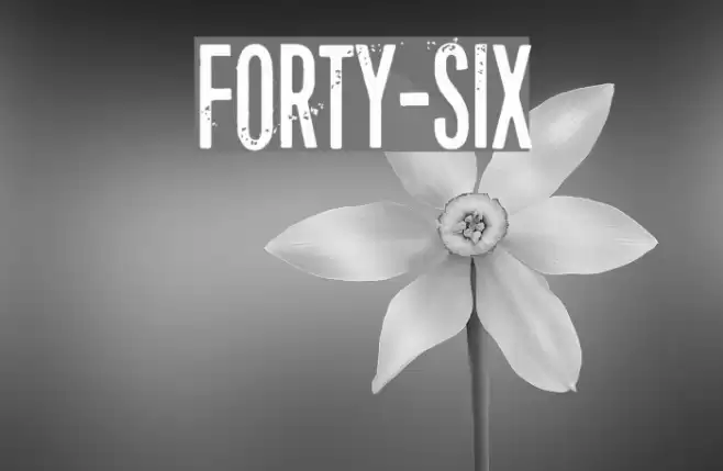 Forty-six Font examples