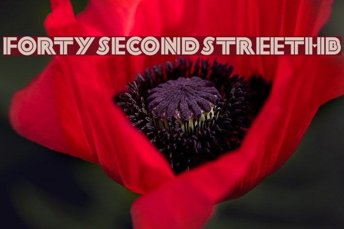 FortySecondStreetHB Font examples