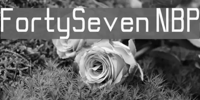 FortySeven NBP Font examples