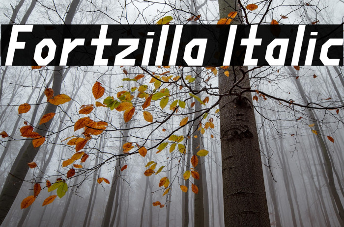 Fortzilla Italic Example 1