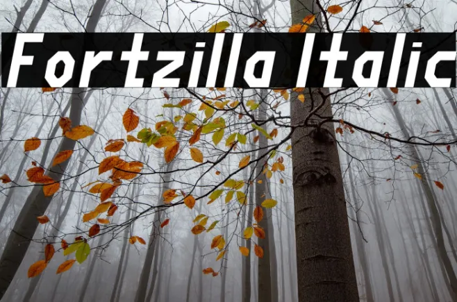 Fortzilla Italic Example 1