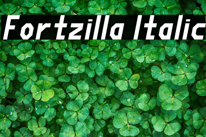 Fortzilla Italic Example 2