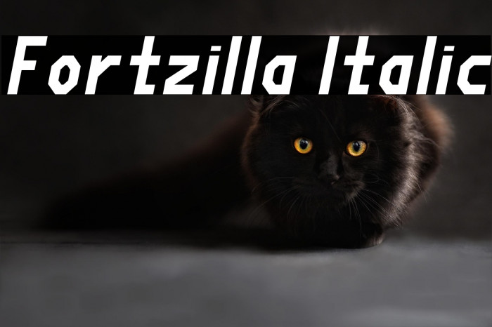 Fortzilla Italic Example 3