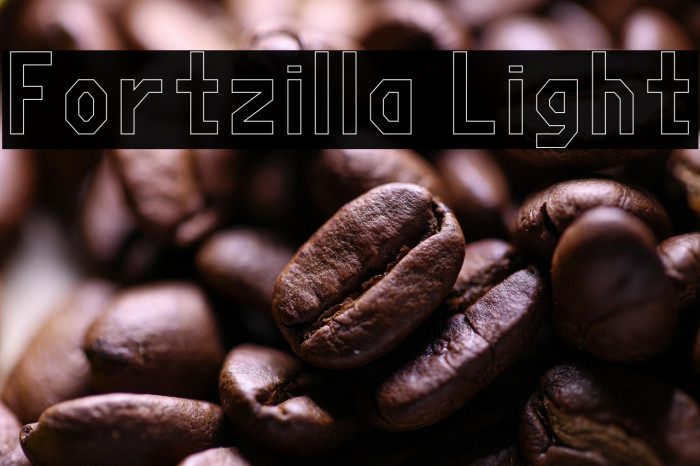 Fortzilla Light Example 3