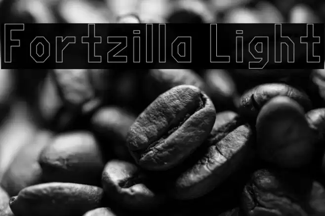 Fortzilla Light Font examples