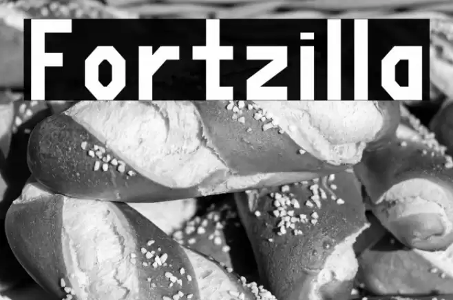 Fortzilla Font examples
