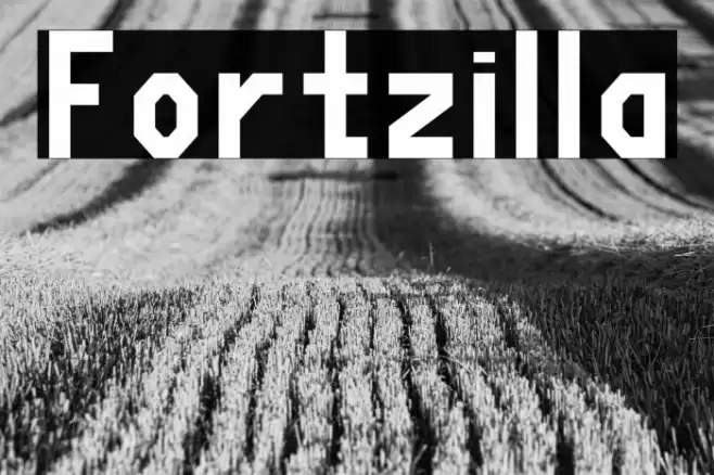 Fortzilla Font examples