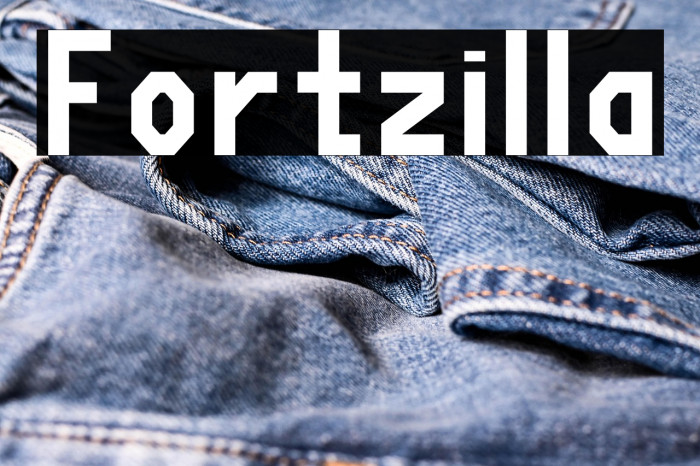 Fortzilla Example 3