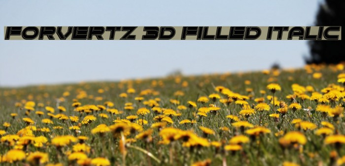 Forvertz 3D Filled Italic Font examples