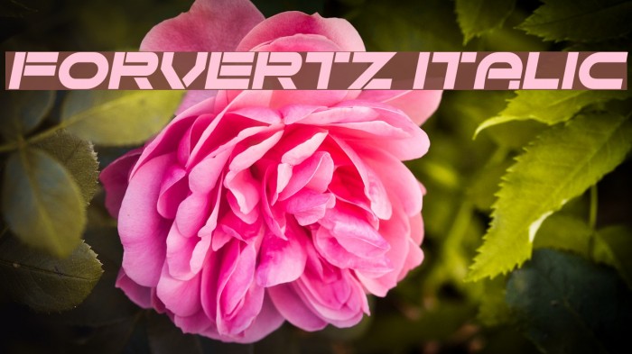 Forvertz Italic Example 1