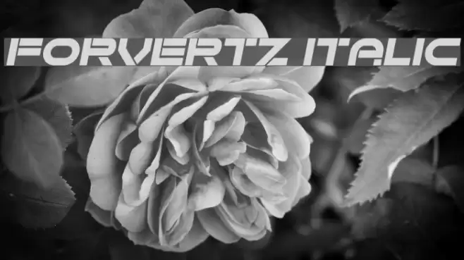 Forvertz Italic Font examples