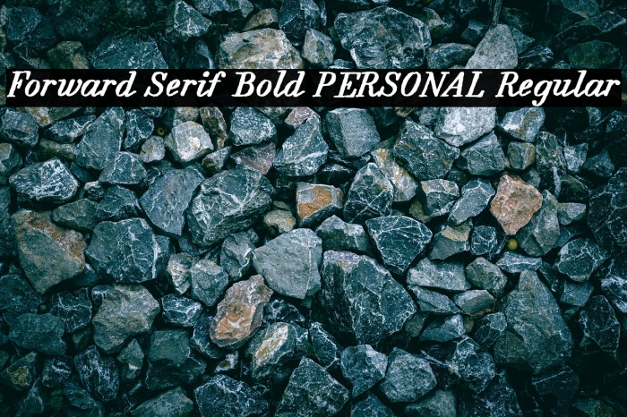 Forward Serif Bold PERSONAL Regular Example 1
