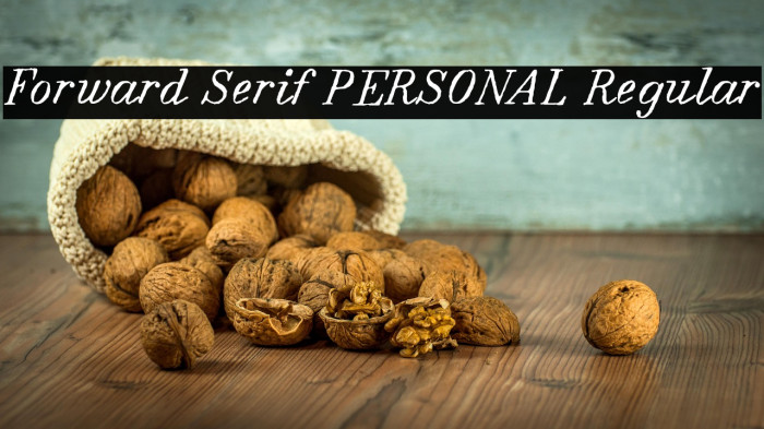 Forward Serif PERSONAL Regular Example 2