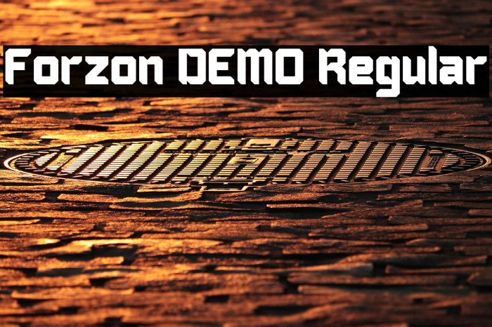 Forzon DEMO Regular Example 3