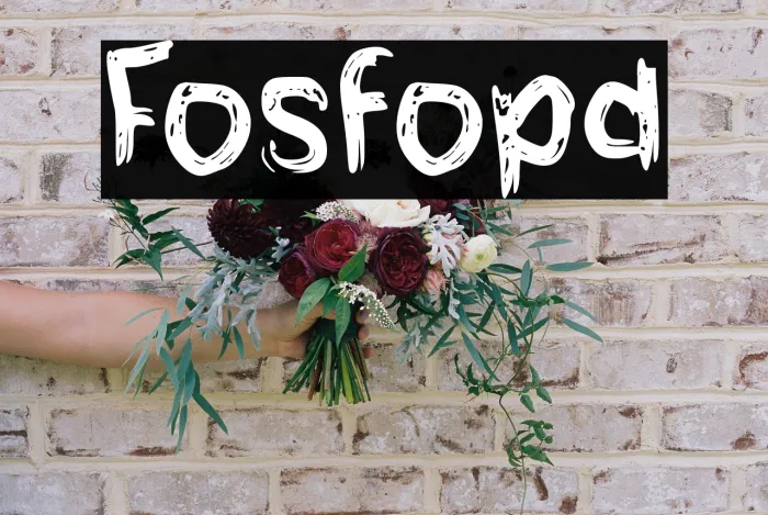 Fosfolipid Example 1