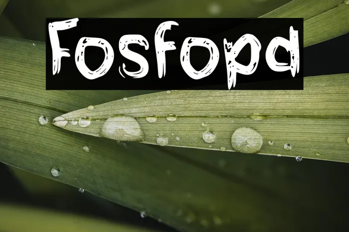 Fosfolipid Example 2