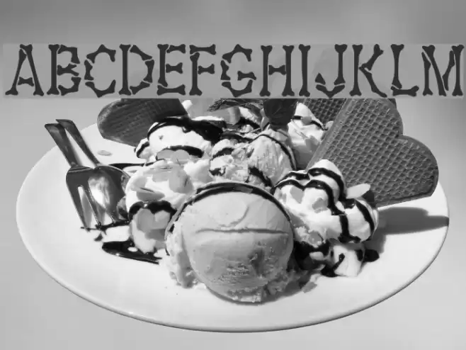 Fossil Regular Polices examples