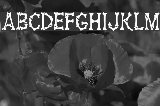 Fossil Regular Polices examples