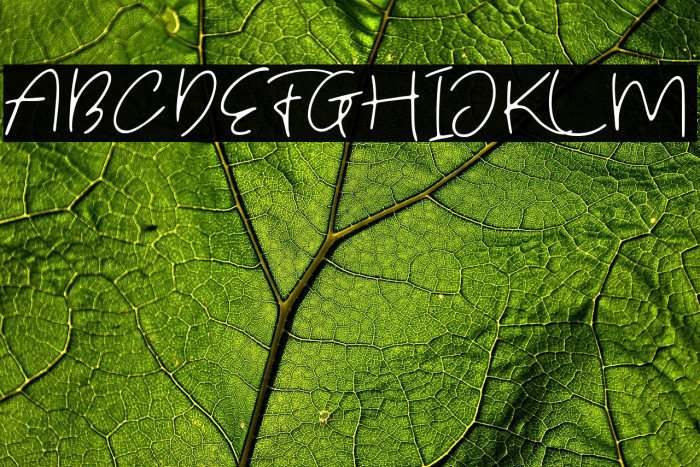 Fostone Demo Example 1