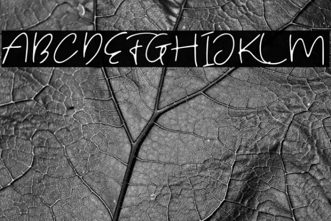 Fostone Demo Шрифта examples