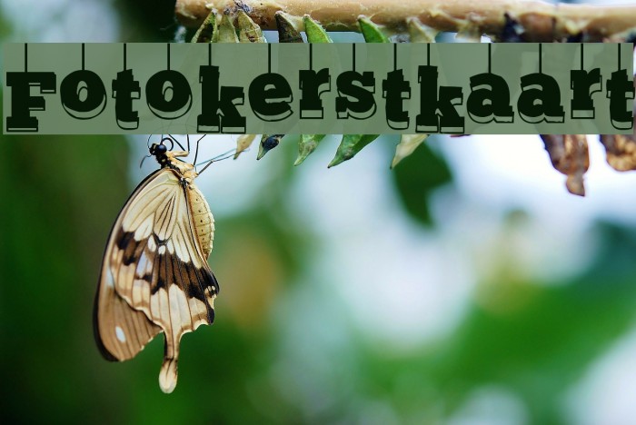 Fotokerstkaart Font examples