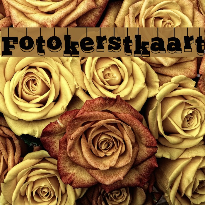 Fotokerstkaart Font examples