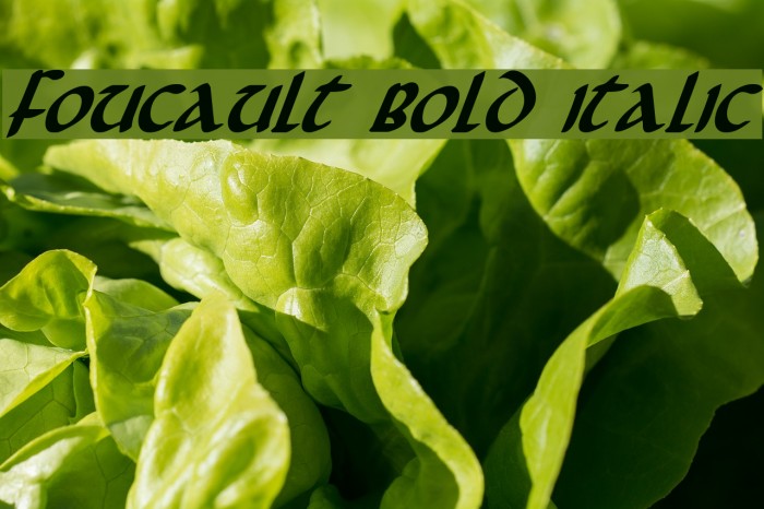 Foucault Bold Italic Font examples